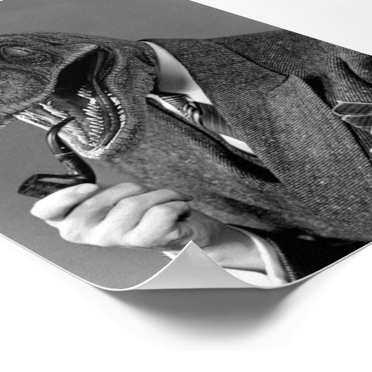  fotosoraptor (ongeveer 1862) poster (Hoek)