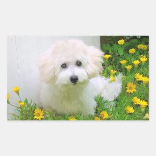 Fotostickers Rechthoekige Sticker