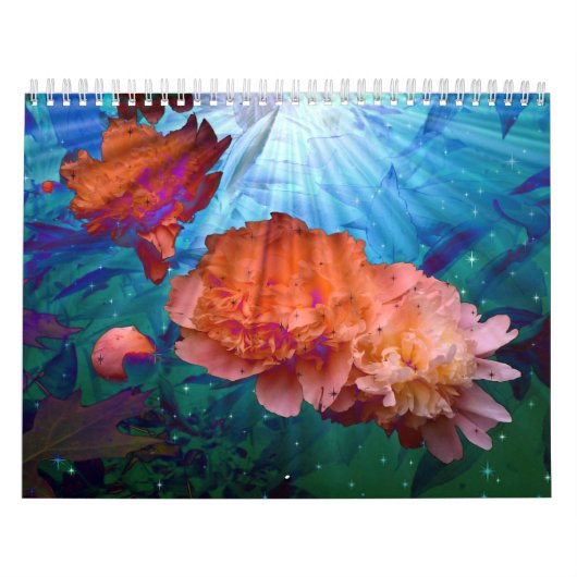 Fotosurrealisme Kalender (Hoes)