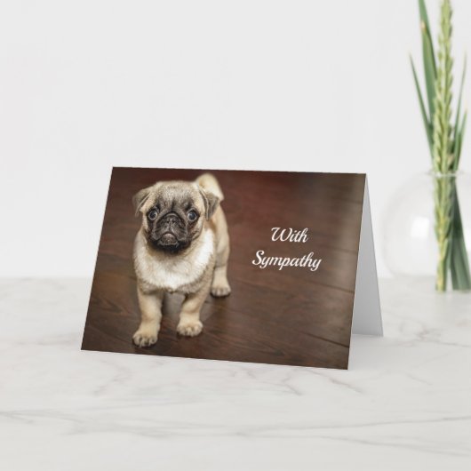Fotosympathie van Pug Brown Dog Kaart (Voorkant)