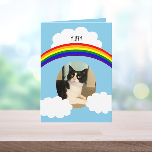 Fotosympathie voor Pet Cat Rainbow Kaart