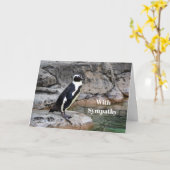Fotosympathie Wildlife Penguin Kaart (Gele Bloem)