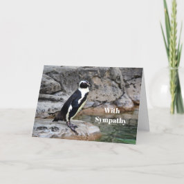 Fotosympathie Wildlife Penguin Kaart