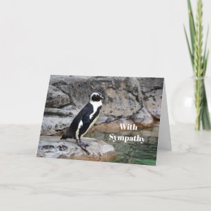 Fotosympathie Wildlife Penguin Kaart