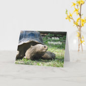Fotosympathie Wildlife Tortoise Kaart (Gele Bloem)