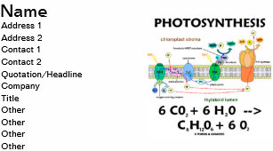 Fotosynthese Cadeaus Zazzle Nl
