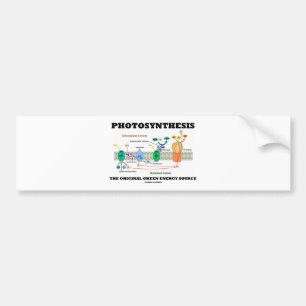 Fotosynthese de originele groene energiebron bumpersticker