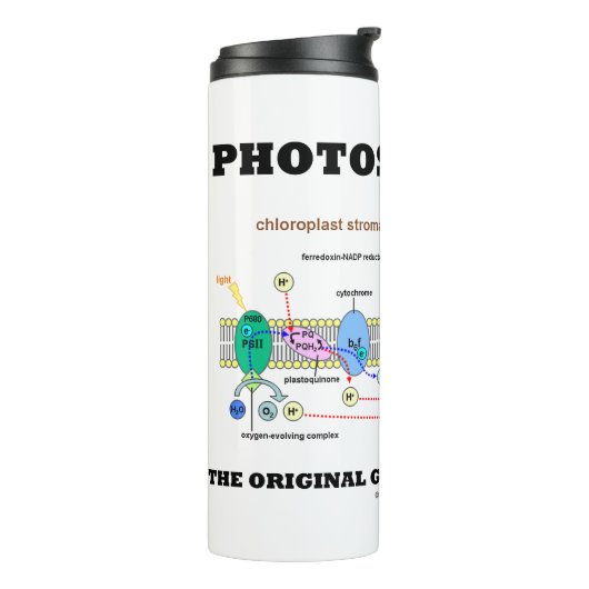 Fotosynthese de originele groene energiebron thermosbeker (Gedraaid links)