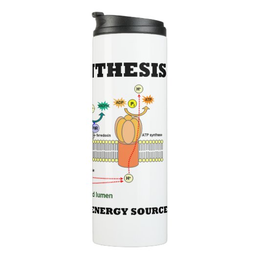 Fotosynthese de originele groene energiebron thermosbeker (Geroteerd rechts)