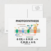 Fotosynthese (koolstofdioxide + water) briefkaart (Voorkant / Achterkant)