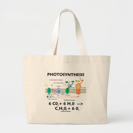 Fotosynthese (koolstofdioxide + water) grote tote bag (Voorkant)