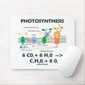 Fotosynthese (koolstofdioxide + water) muismat (Met muis)