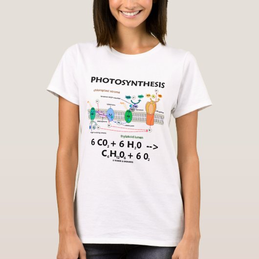 Fotosynthese (koolstofdioxide + water) t-shirt (Voorkant)