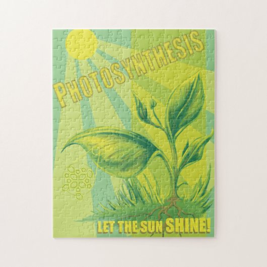 Fotosynthese Legpuzzel (Verticaal)