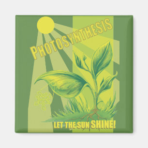 Fotosynthese Magneet