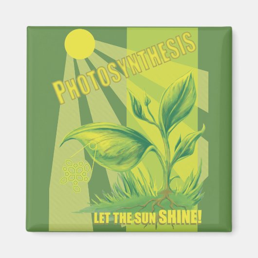 Fotosynthese Magneet (Voorkant)