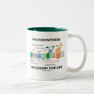 Fotosynthese Noodzakelijk Voor Leven Tweekleurige Koffiemok