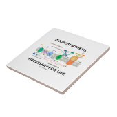 Fotosynthese noodzakelijk voor levenslicht afhanke tegeltje (Zijkant)