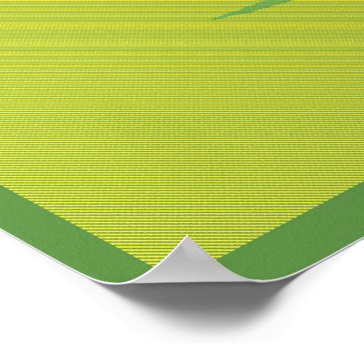 Fotosynthese Poster (Hoek)