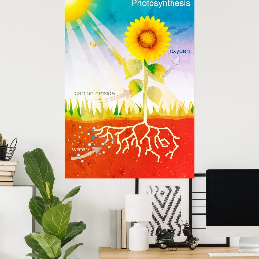 Fotosynthese Poster (Thuiskantoor)