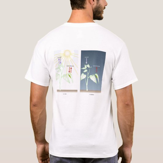 Fotosynthese T-shirt (Achterkant)