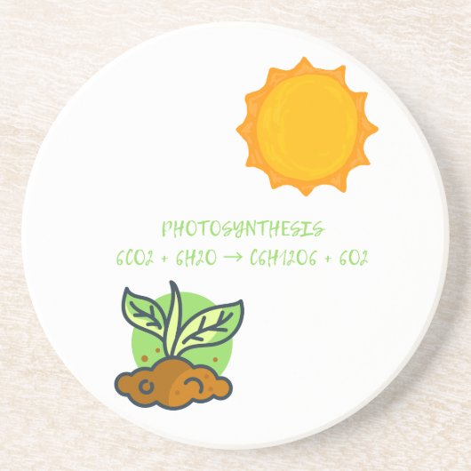 Fotosynthese Zandsteen Onderzetter (Voorkant)
