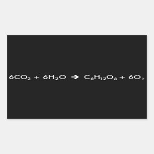 Fotosynthesevergelijking Rechthoekige Sticker