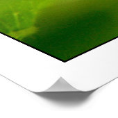 fotosynthetisch poster (Hoek)