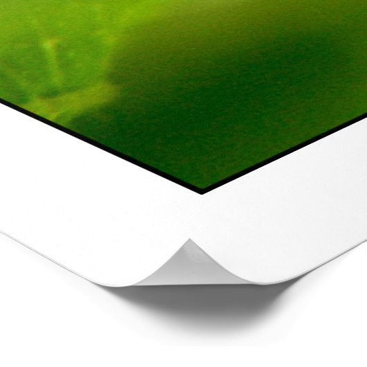 fotosynthetisch poster (Hoek)