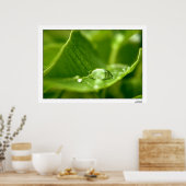 fotosynthetisch poster (Keuken)