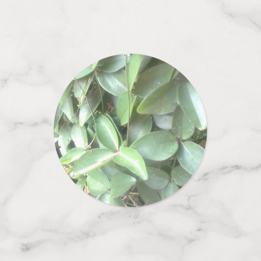 Fototafel Confetti (Kleine voorkant)