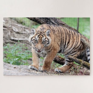 Fototijger, dieren 0310. legpuzzel