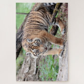 Fototijger, dieren 0310. legpuzzel (Verticaal)