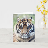 Fototijger , huisdier , dierenkaart kaart (Gele Bloem)