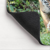 fototijgerkattendieren, muisblok muismat (Hoek)