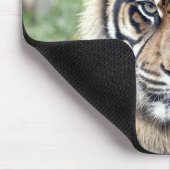 fototijgerkattendieren, muisblok muismat (Hoek)