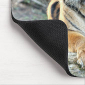 fototijgerkattendieren, muisblok muismat (Hoek)