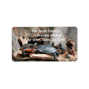 Fototoestellen Adresetiketten Etiket