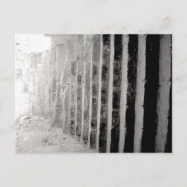 Fototrap voor zwart-witscène briefkaart