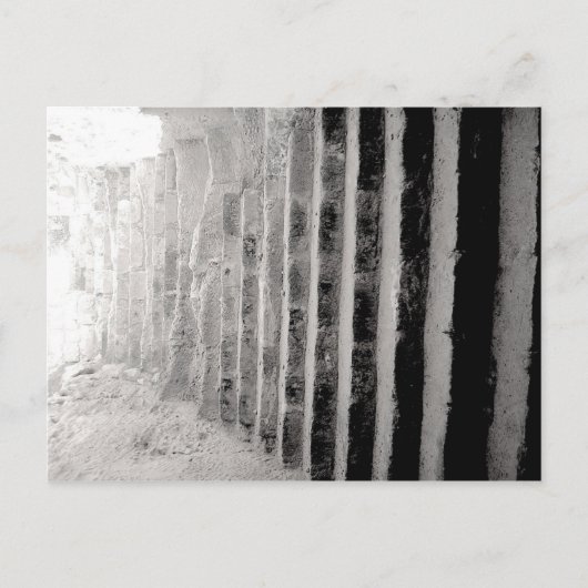 Fototrap voor zwart-witscène briefkaart (Voorkant)