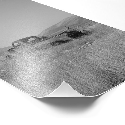 fototruck met gras foto afdruk (Hoek)