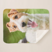 Fototypografie van naam van huisdier aanpassen sherpa deken (Voorkant (horizontaal))