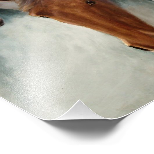 Fotouitbreiding, 5 paardenkoppen foto afdruk (Hoek)