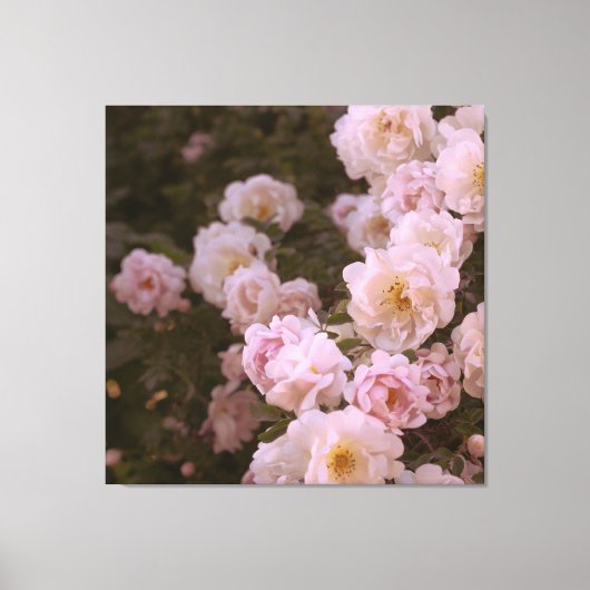 Fotouitbreiding Canvas Afdruk (Voorkant)