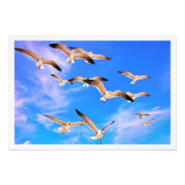 Fotouitbreiding Foto Afdruk