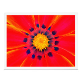 Fotouitbreiding Foto Afdruk