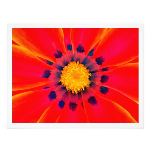 Fotouitbreiding Foto Afdruk (Voorkant)