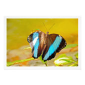 Fotouitbreiding Foto Afdruk (Voorkant)