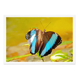 Fotouitbreiding Foto Afdruk