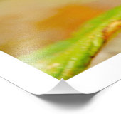 Fotouitbreiding Foto Afdruk (Hoek)